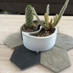 jardin-zen-1